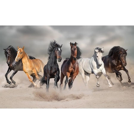 Poster horses galloping in the sand 84 x 52 cm