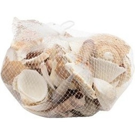 Decorative/hobby shells 400 grams