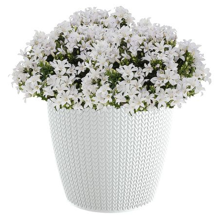 Stijlvolle plantenpot/bloempot kunststof dia 13 cm en hoogte 11 cm parel wit