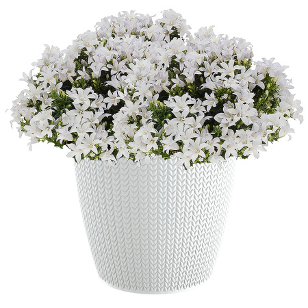 Stijlvolle plantenpot/bloempot kunststof dia 16 cm en hoogte 14 cm parel wit