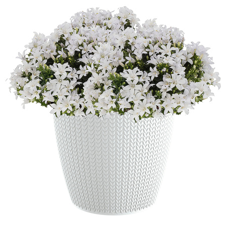 Stijlvolle plantenpot/bloempot kunststof dia 19 cm en hoogte 17 cm parel wit