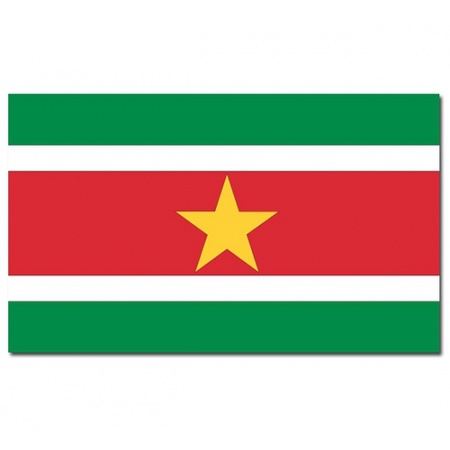 Suriname vlaggen versiering set binnen/buiten 2-delig