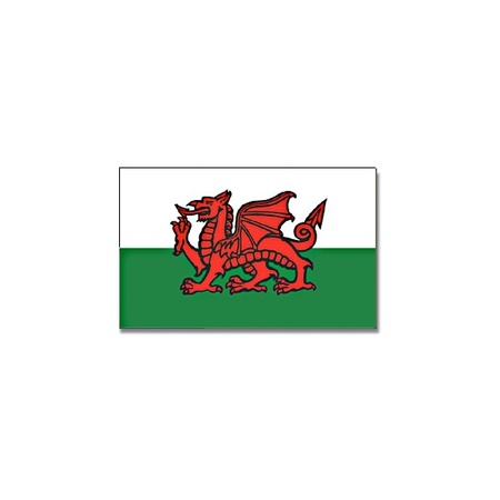 Vlag Wales 90 x 150 cm feestartikelen